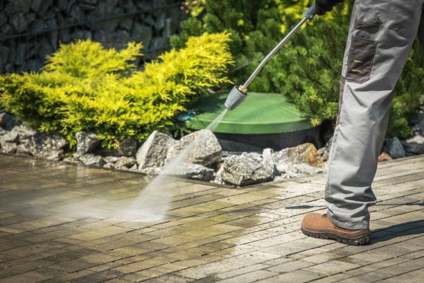 Best Roof Washing  in Mauldin, SC